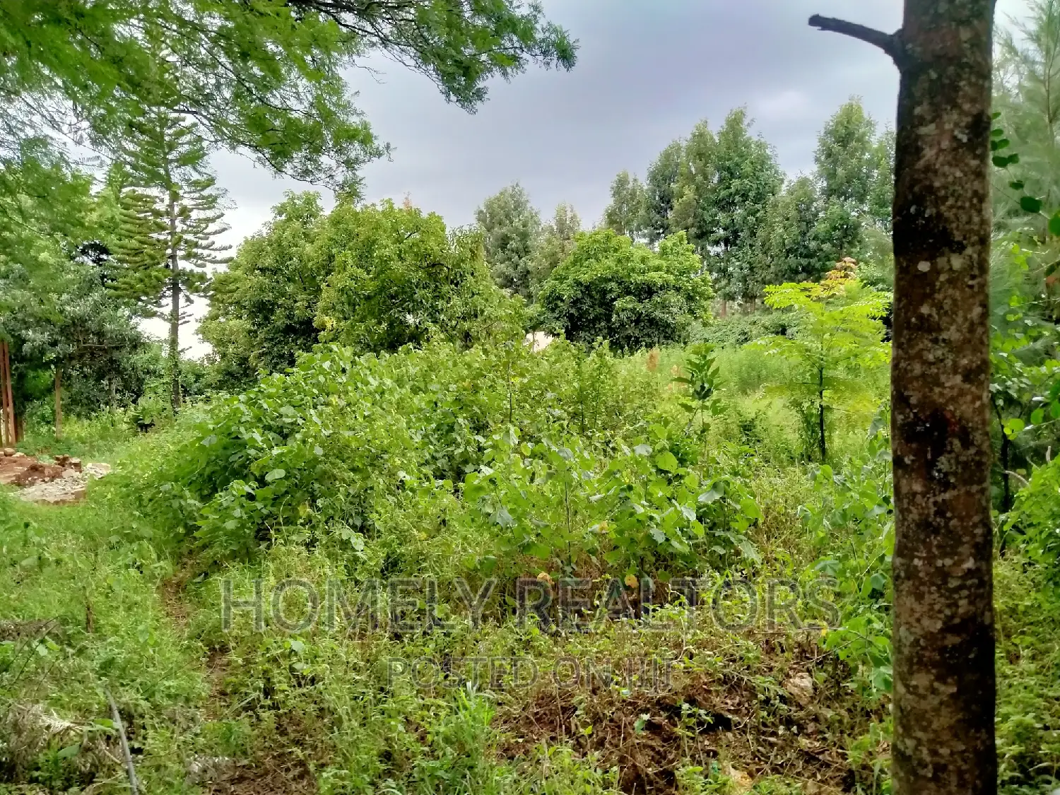 Prime Quarter Acre Plot in Ngong Along Maragara Rd, Directly Touching Tarmac in Ngong