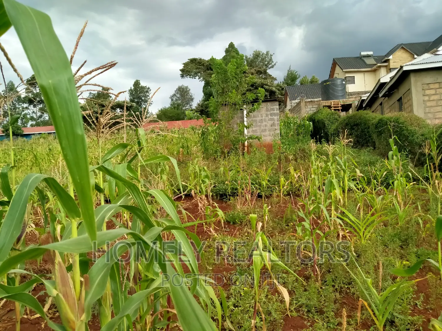 Prime Residential Quarter Acre Plot in Ngong, Maragara - Red Soil, Ready for Development in Ngong