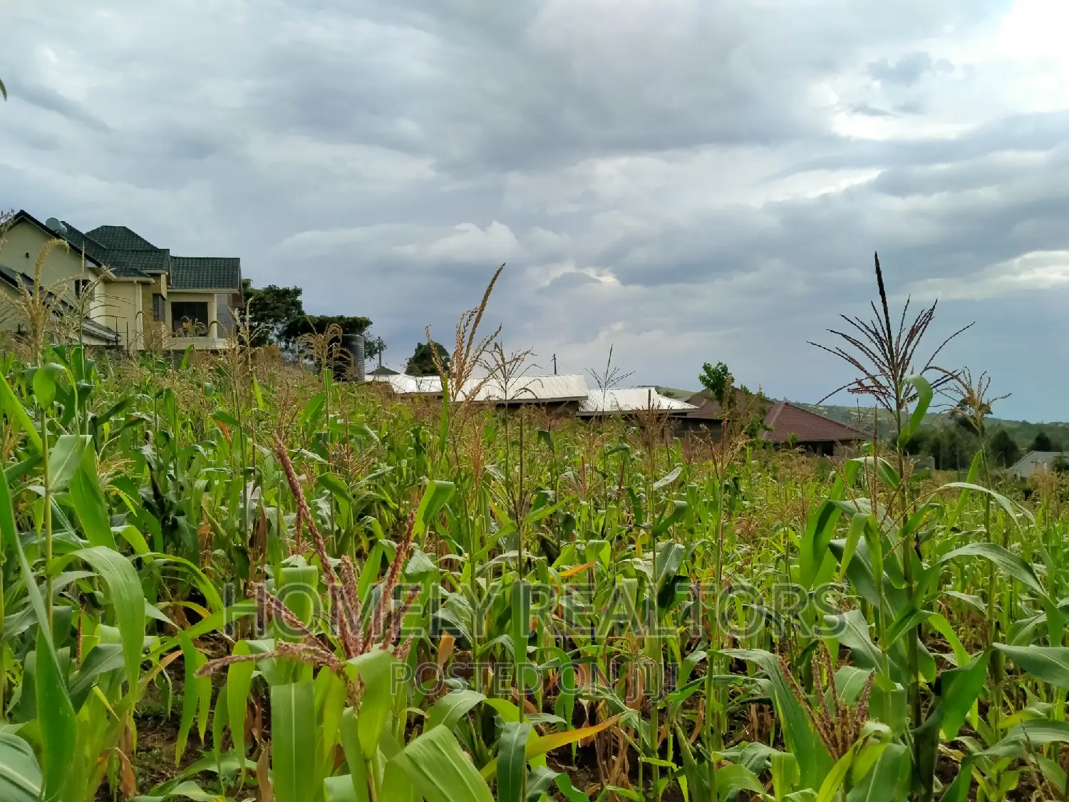 Prime Residential Quarter Acre Plot in Ngong, Maragara - Red Soil, Ready for Development in Ngong