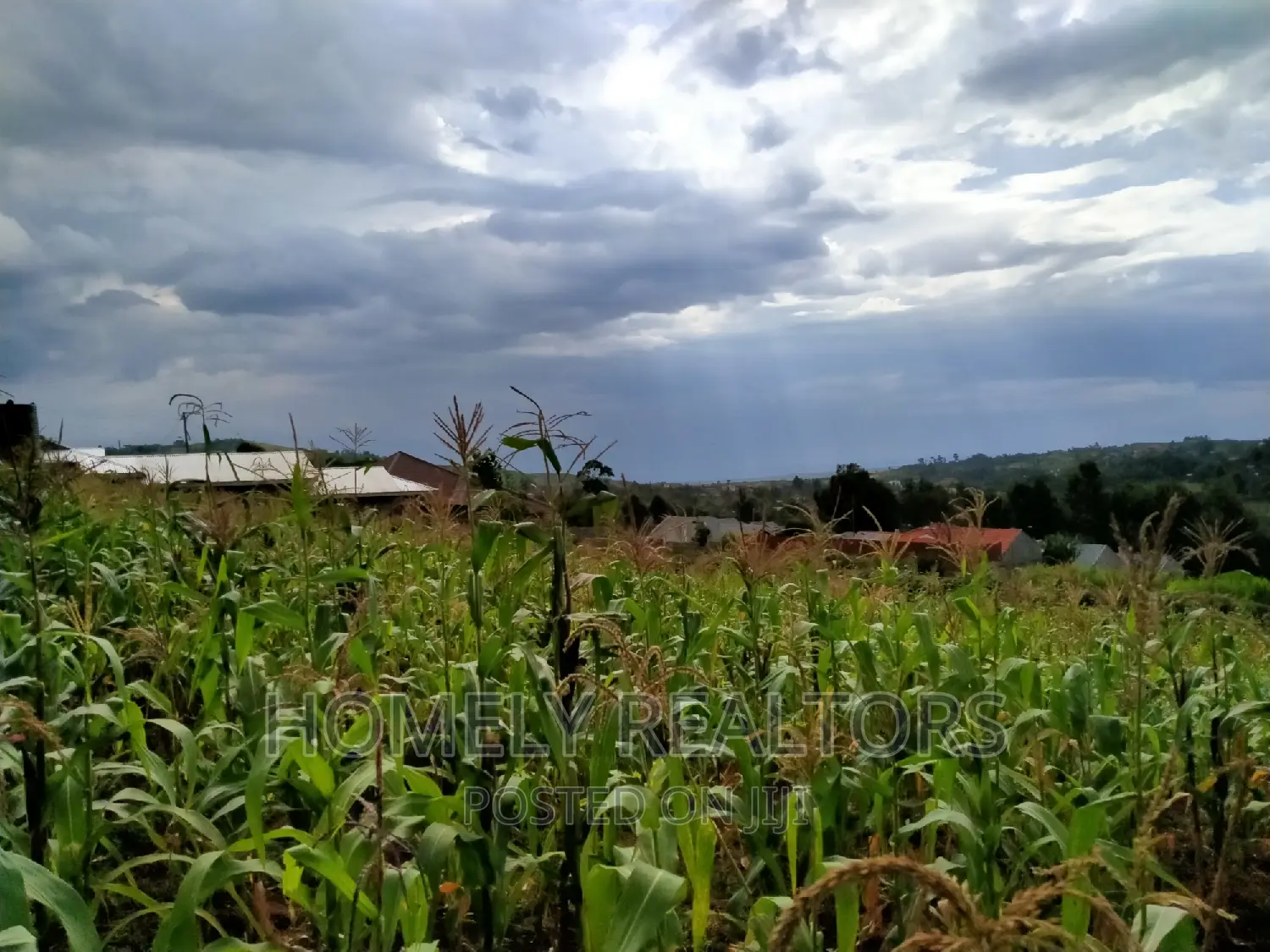 Prime Residential Quarter Acre Plot in Ngong, Maragara - Red Soil, Ready for Development in Ngong