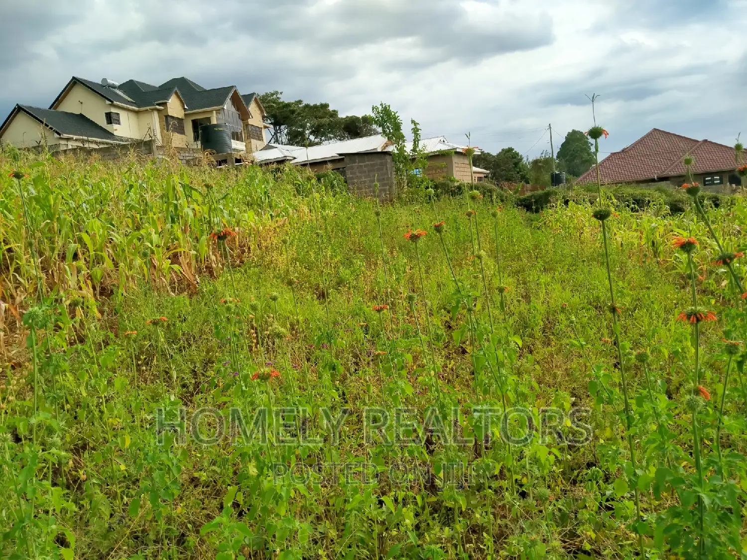 Prime Residential Quarter Acre Plot in Ngong, Maragara - Red Soil, Ready for Development in Ngong