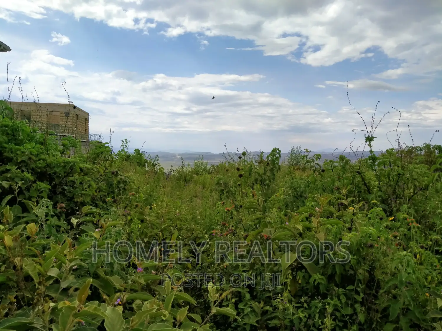 5-Acre Land in Ngong, Rift Valley - Longonot View, Access to Tarmac in Ngong