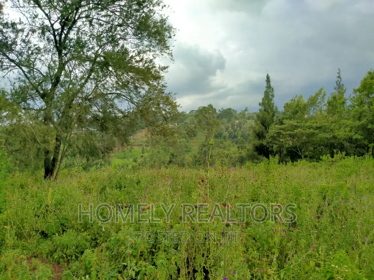 Spacious Eighth-Acre Plots Available in Ngong Along Maragara Rd Tarmac in Ngong