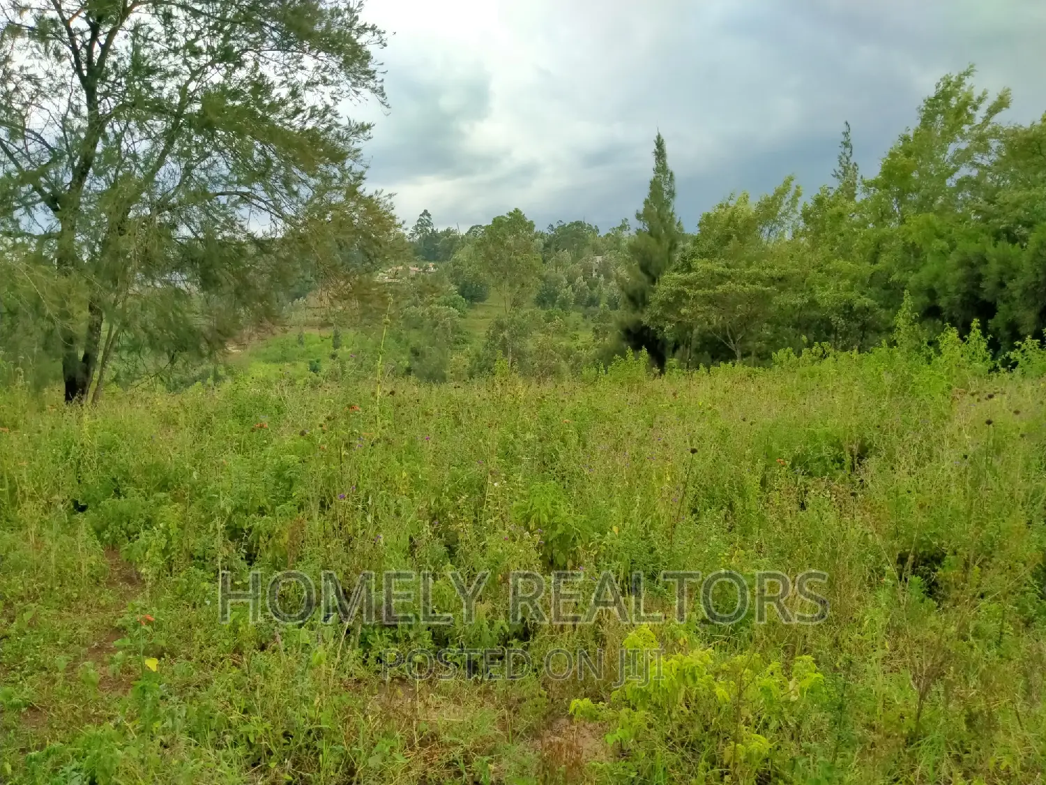 Spacious Eighth-Acre Plots Available in Ngong Along Maragara Rd Tarmac in Ngong