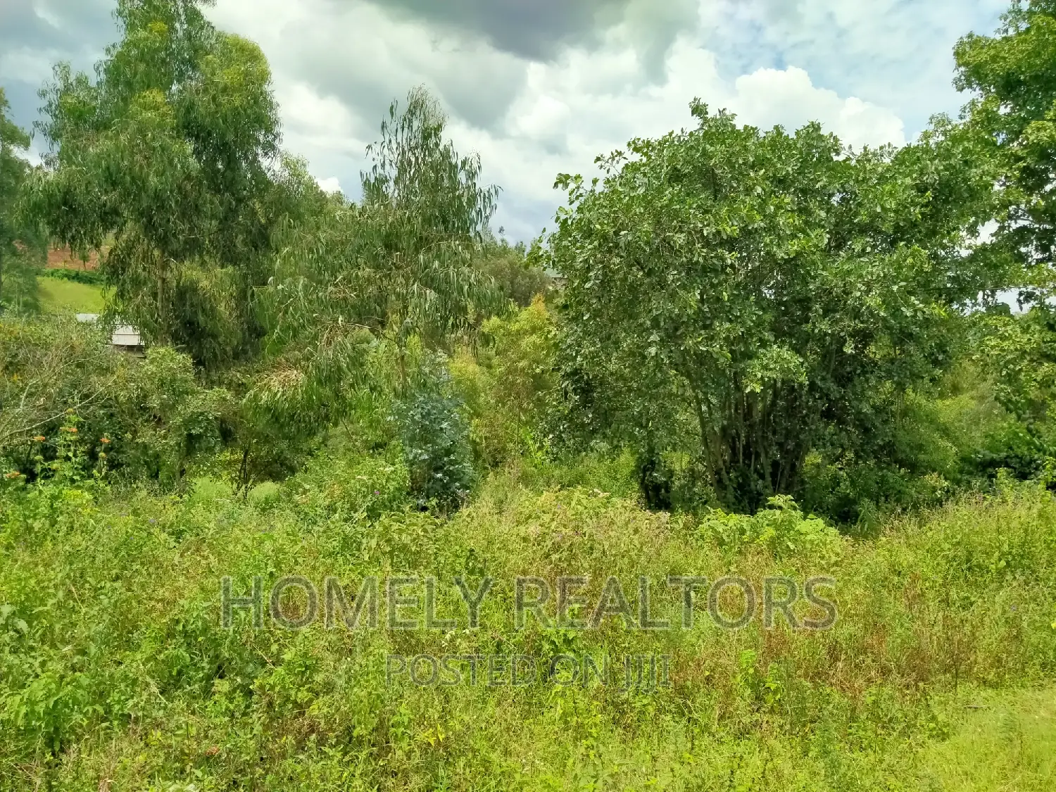 Quarter Acre Residential Land in Ngong, Moibo Road - A Great Investment Opportunity in Ngong