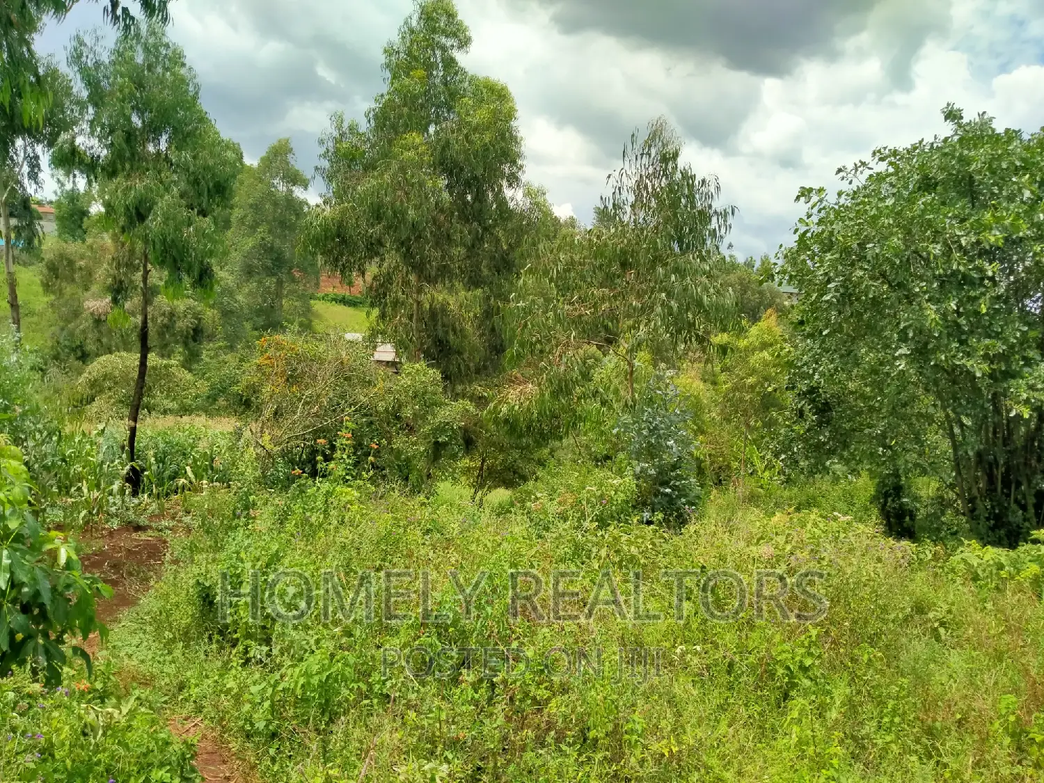 Quarter Acre Residential Land in Ngong, Moibo Road - A Great Investment Opportunity in Ngong