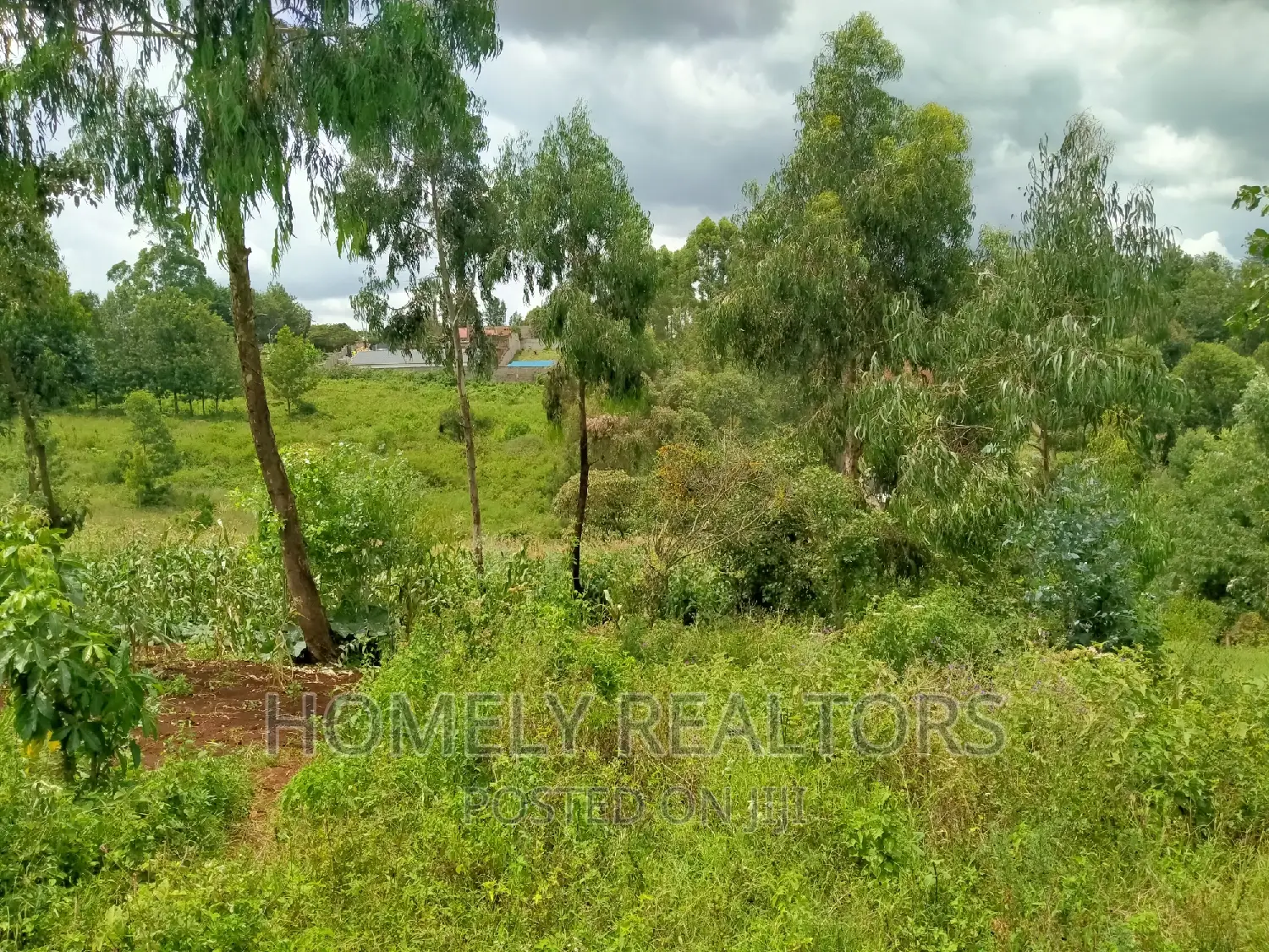 Quarter Acre Residential Land in Ngong, Moibo Road - A Great Investment Opportunity in Ngong