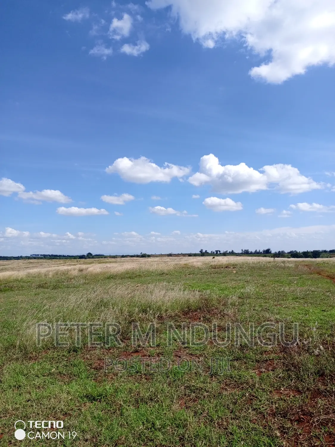 100-Acre Prime Land for Sale: Invest Today for Tomorrow's Success in Ndarugu