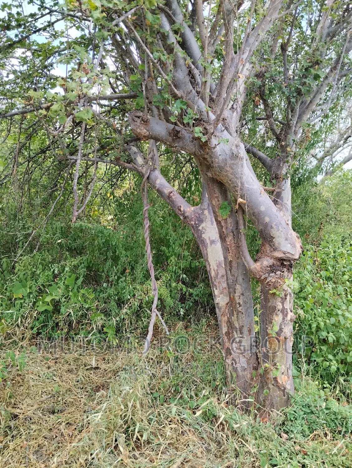 3080acres For Sale in Mutomo