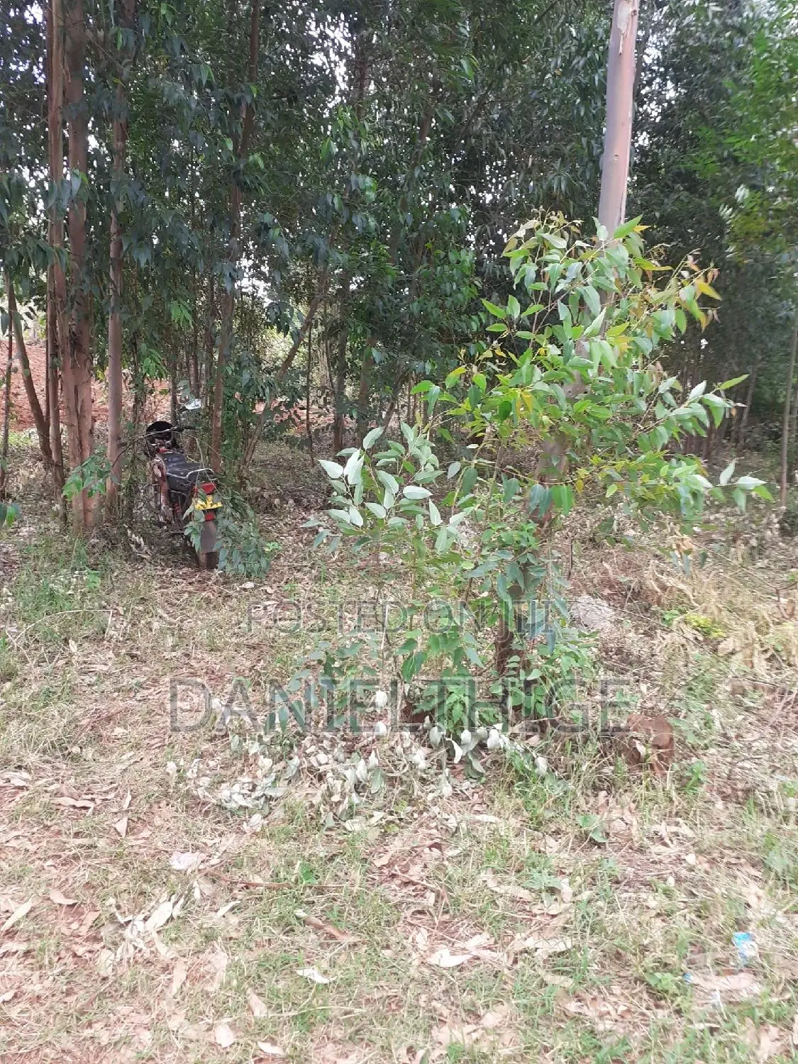 0.7 Acre Land on Sale in Kikuyu Kwa Mindo Near Karlo Muguga in Muguga