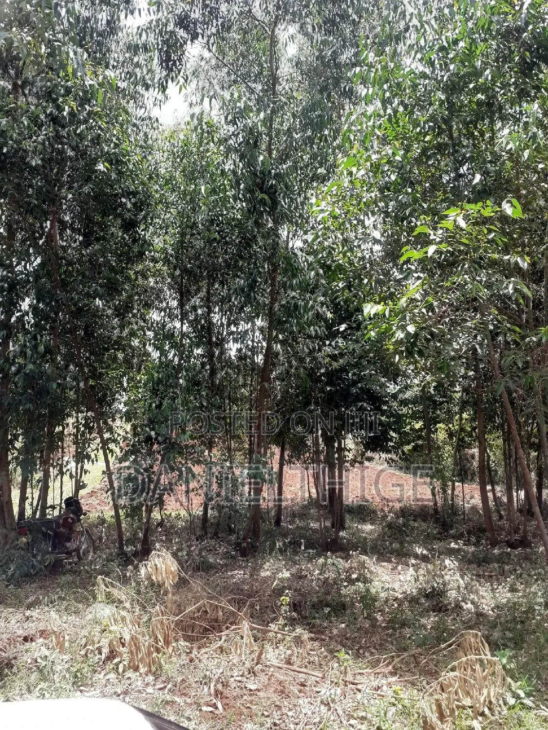 0.7 Acre Land on Sale in Kikuyu Kwa Mindo Near Karlo Muguga in Muguga