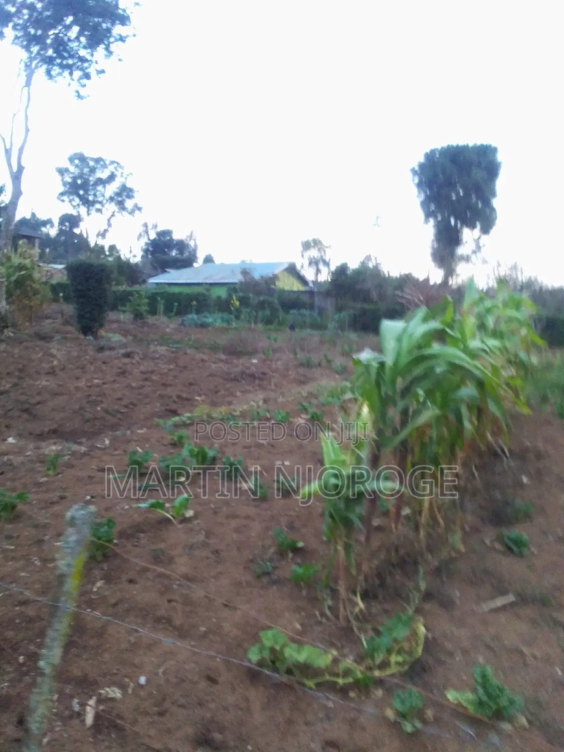 50 by 100 Mwiciringiri in Naivasha East
