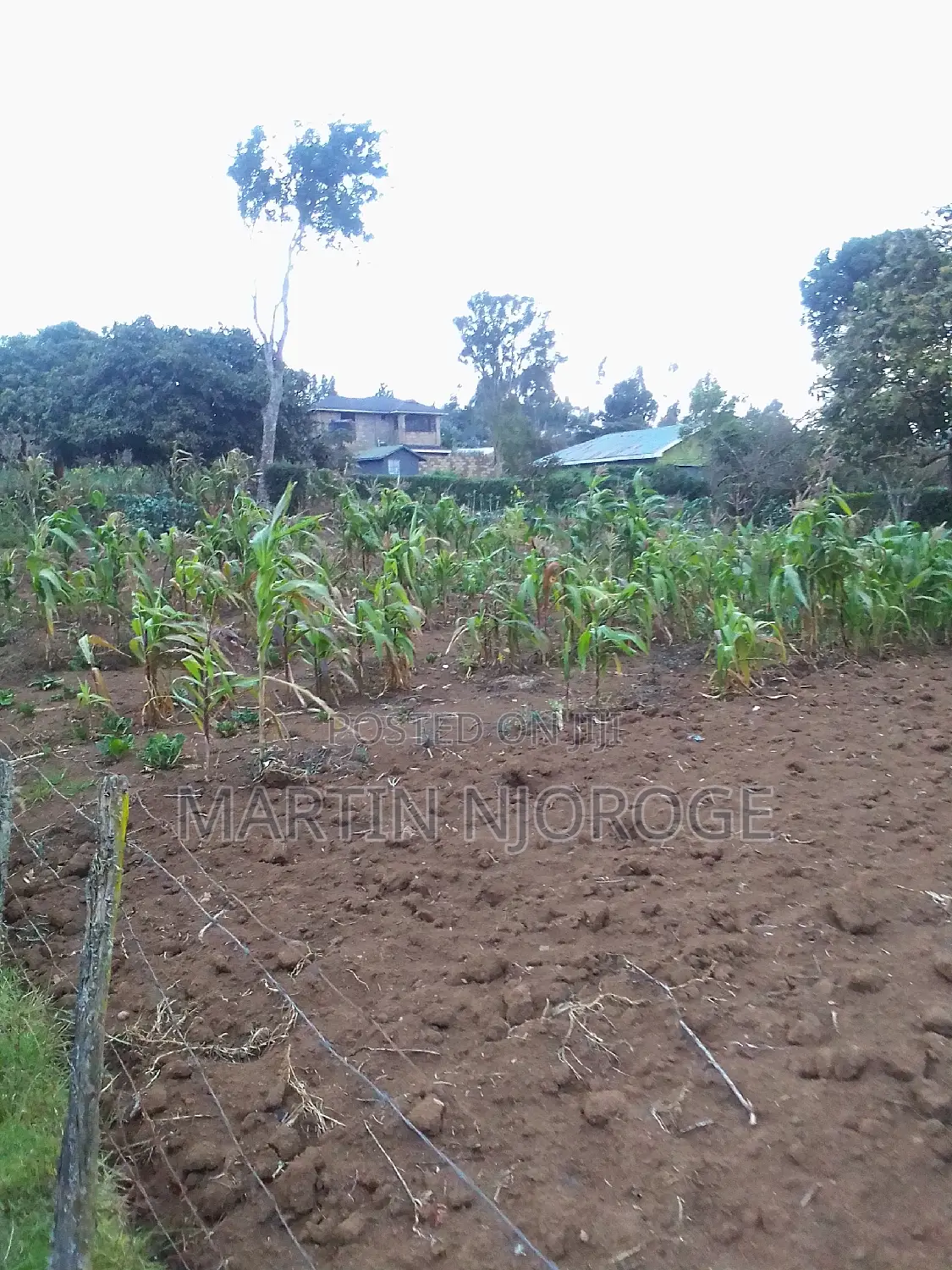 50 by 100 Mwiciringiri in Naivasha East