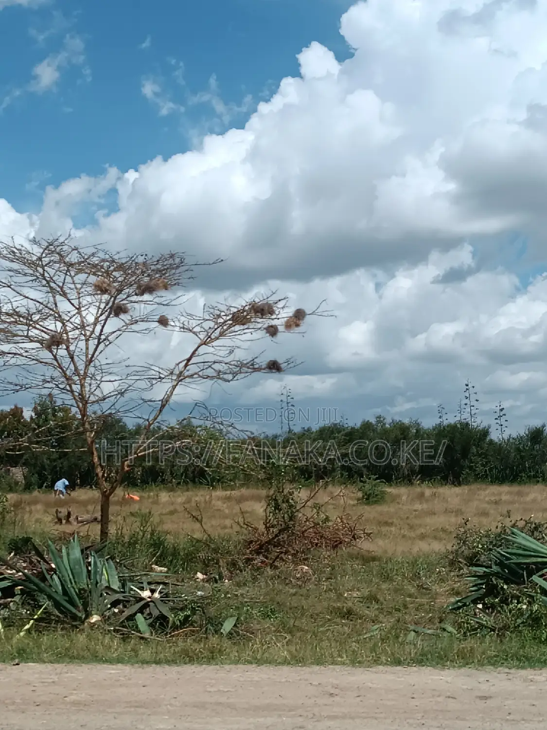 50*100 Malaa Plots at 599,000^AC in Malaa