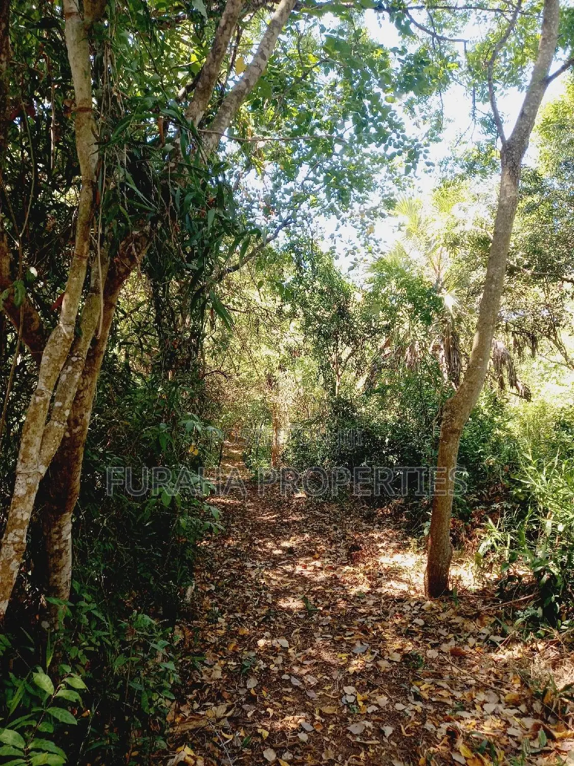 For Sale 8 Acres Creek and 4 BRMS Villa. in Mtwapa