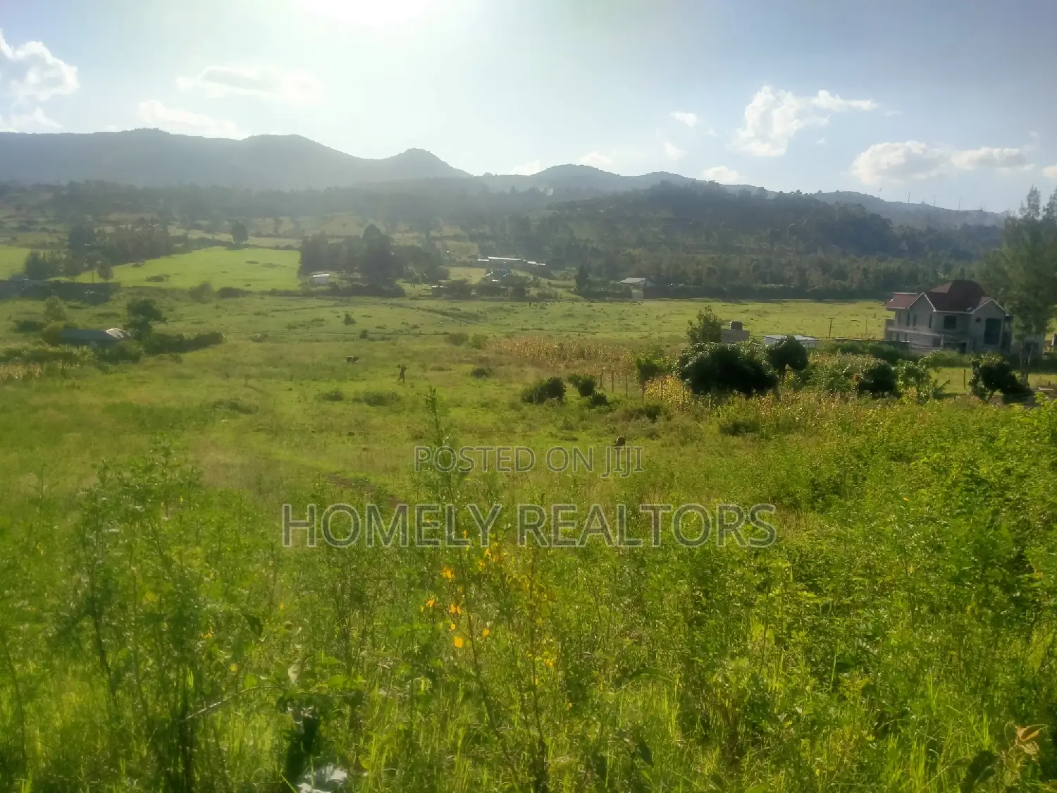 Prime 2-Acre Land for Sale in Ngong, Matasia - Just 1.4km from Tarmac! in Matasia