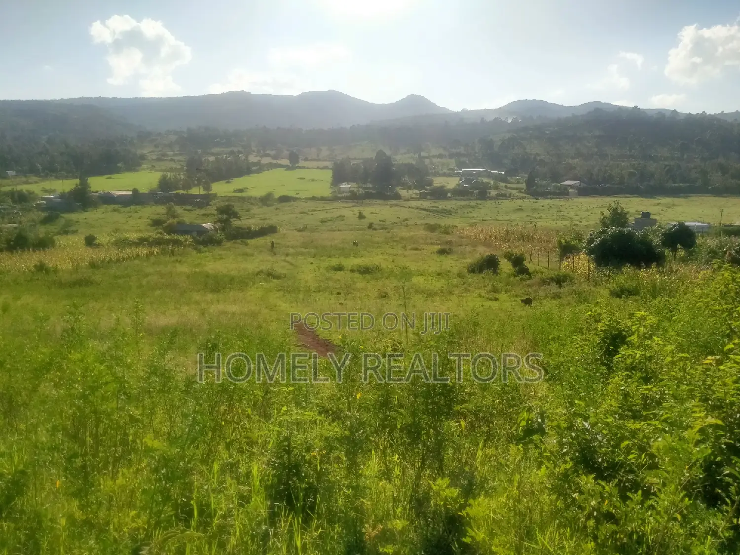 Prime 2-Acre Land for Sale in Ngong, Matasia - Just 1.4km from Tarmac! in Matasia