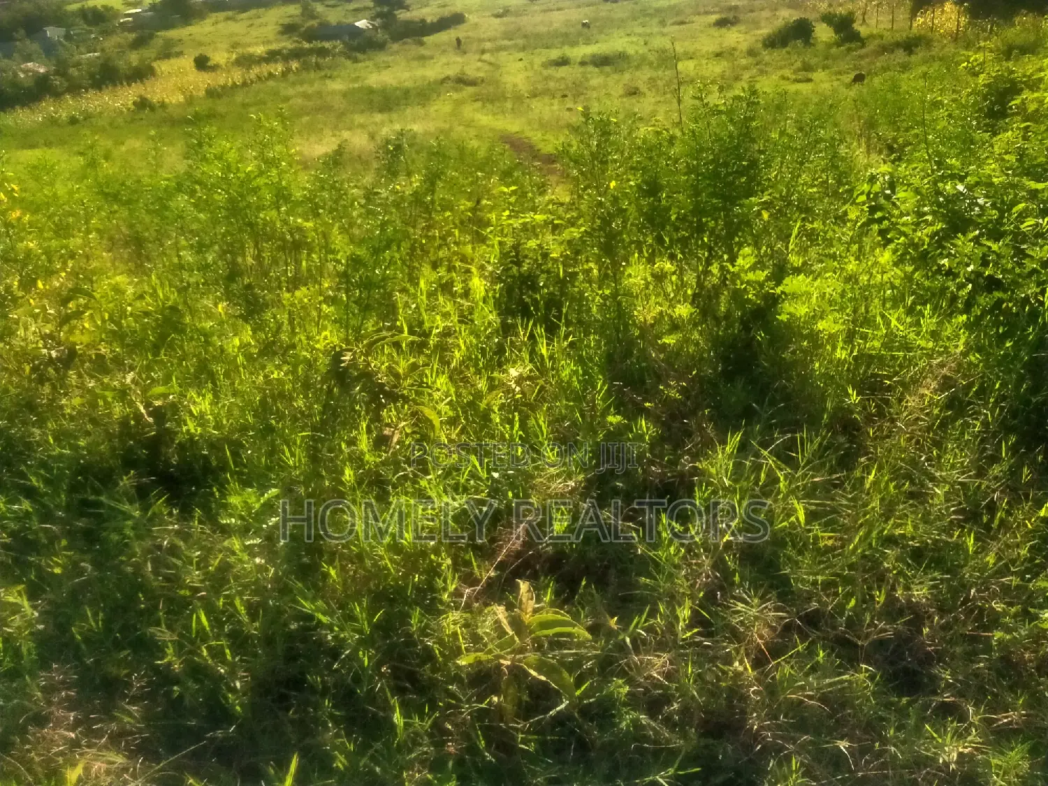 Prime 2-Acre Land for Sale in Ngong, Matasia - Just 1.4km from Tarmac! in Matasia