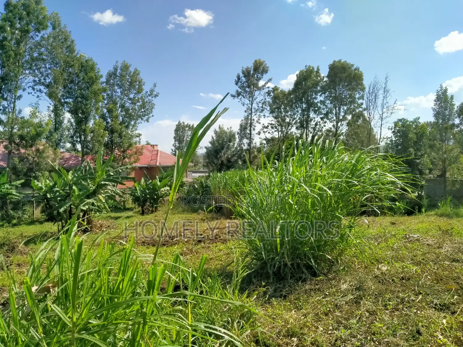 Sell: Eighth Acre Plot in Prime Location, Ongata Rongai, Ole Sakuda Rd in Ongata Rongai