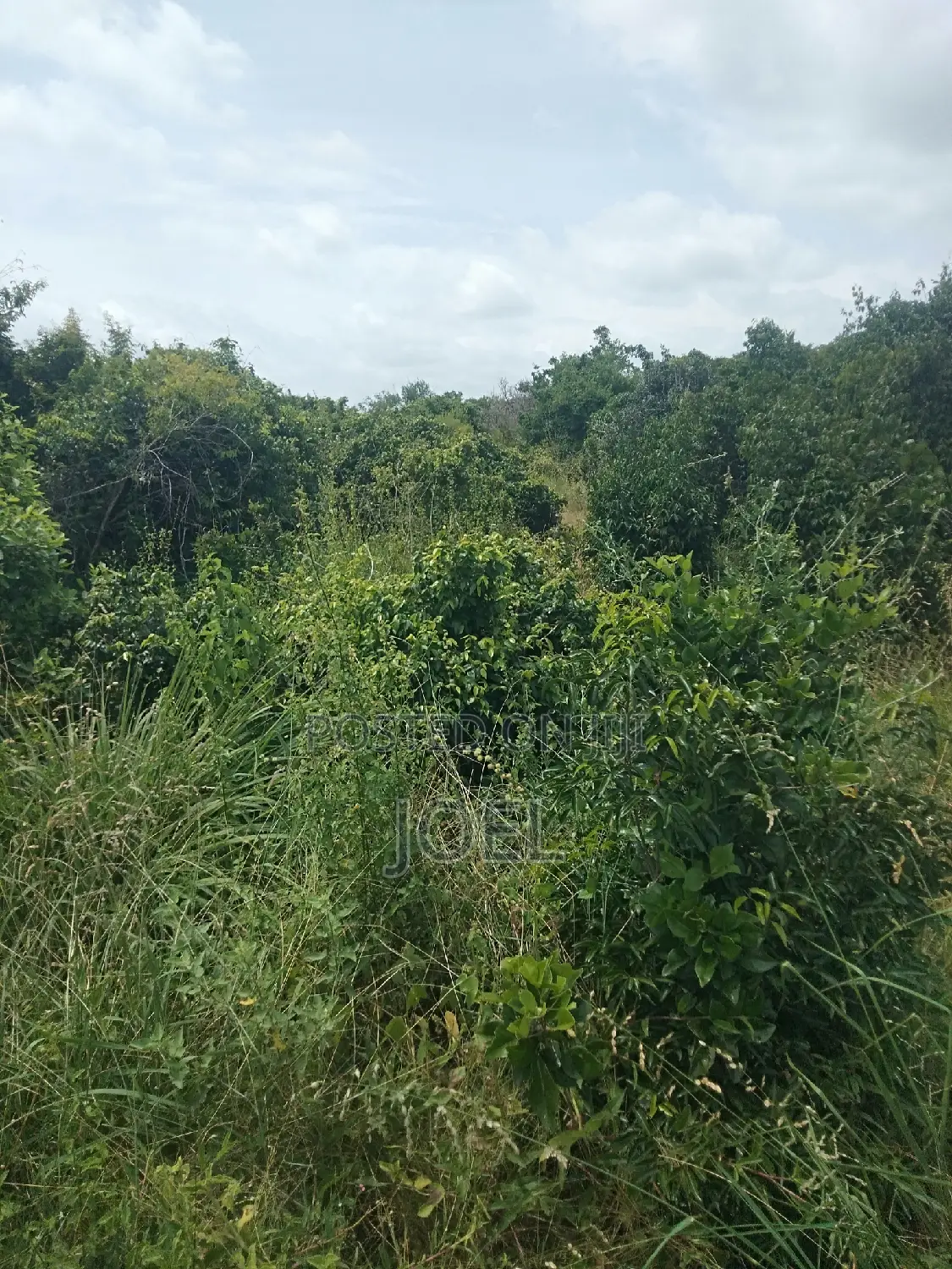 Prime 2500-Acre Malindi Land - Title Deed in Hand - Invest Now in Town Centre