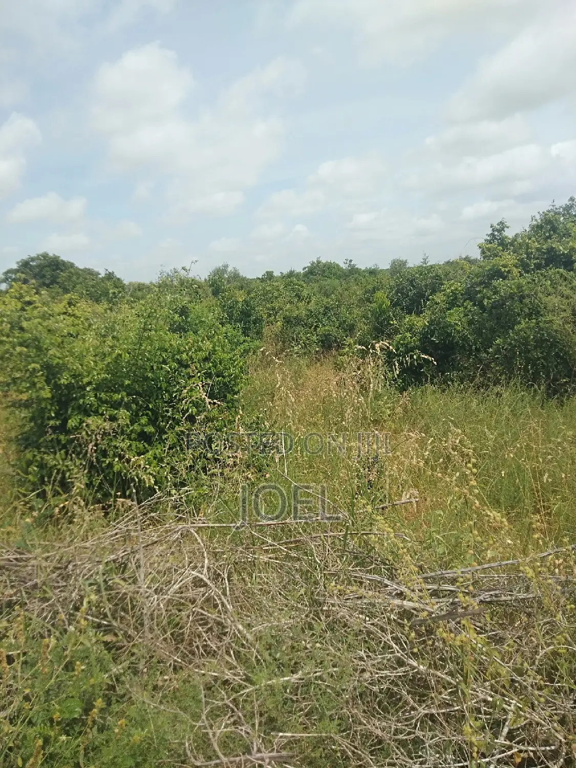 Gigantic 400 Acre Malindi Land - Prime Real Estate Opportunity in Kenya's Coastal Region in Town Centre