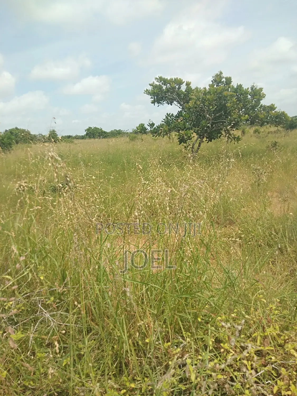 Prime 65-Acre Property in Malindi - Ready Title Deed in Town Centre