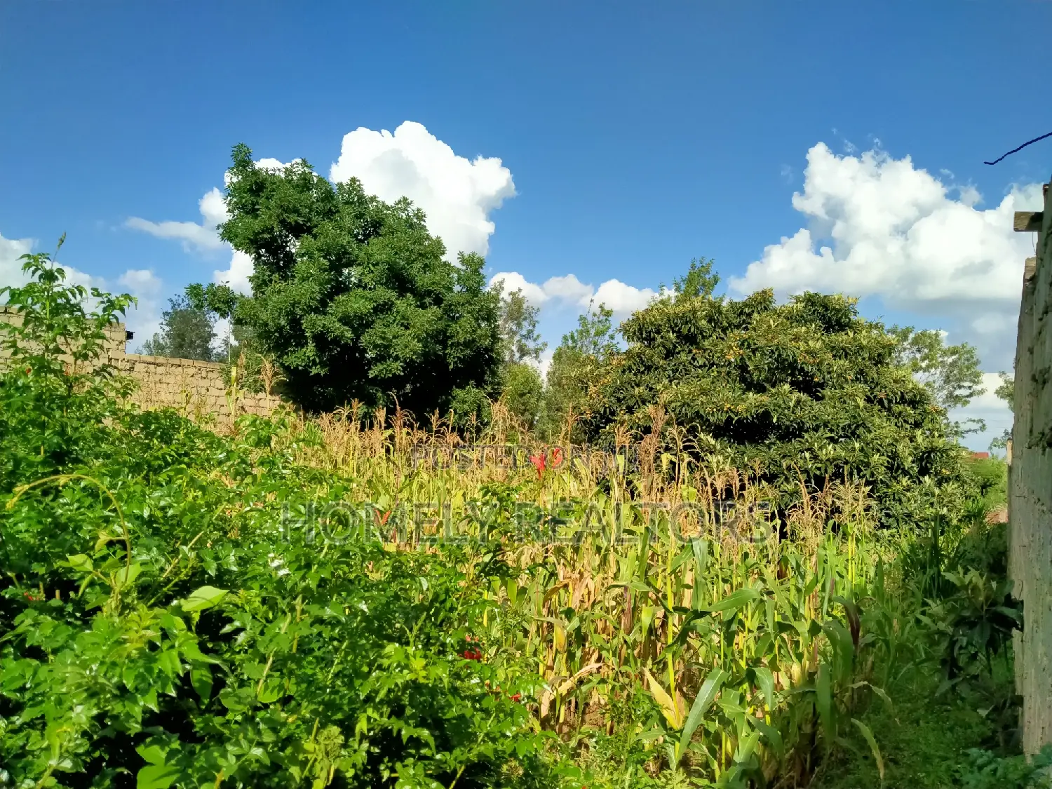 Commercial Land for Sale: Full Eighth Acre in Ongata Rongai, Nkoroi in Nkoroi