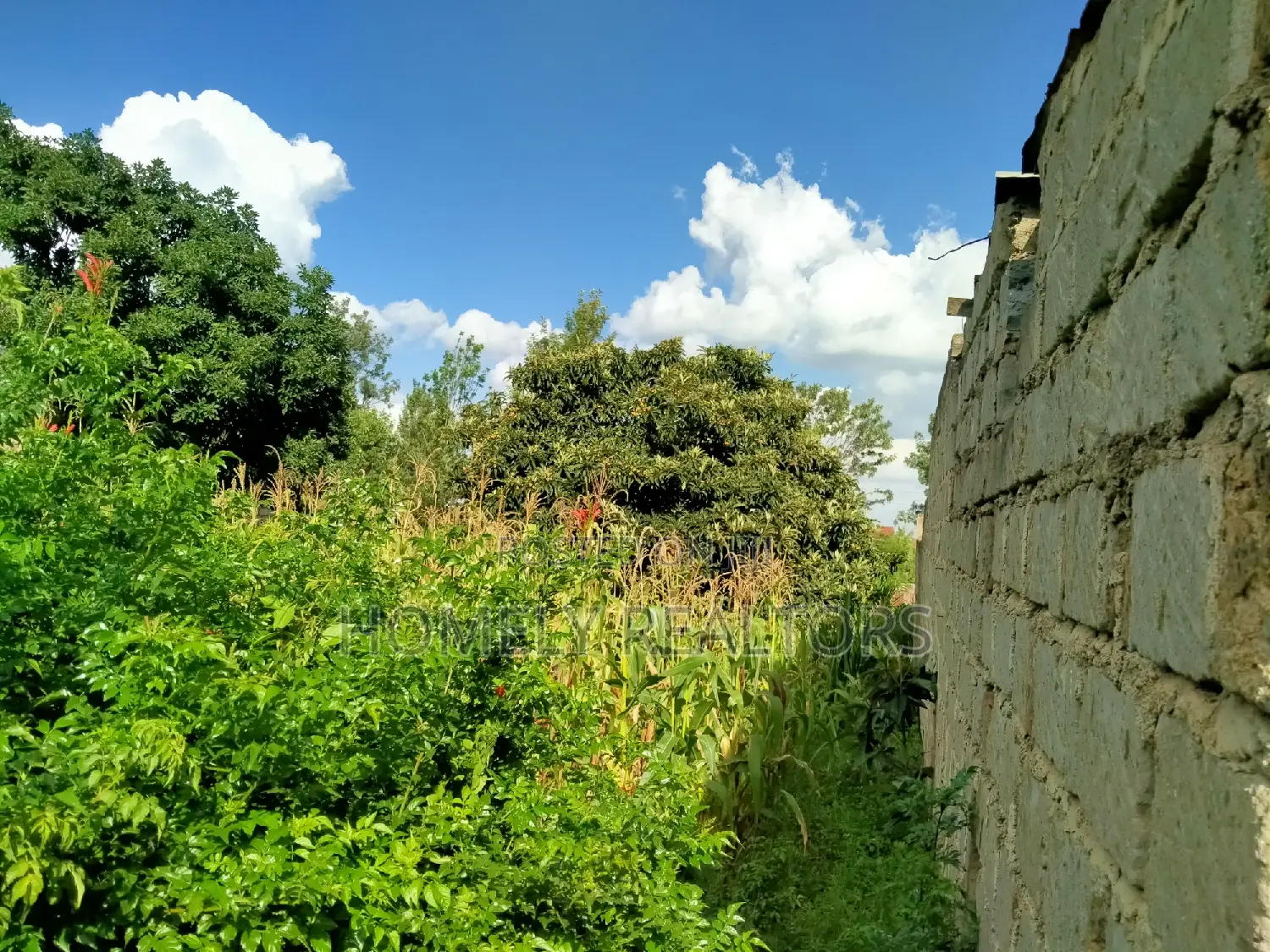 Commercial Land for Sale: Full Eighth Acre in Ongata Rongai, Nkoroi in Nkoroi