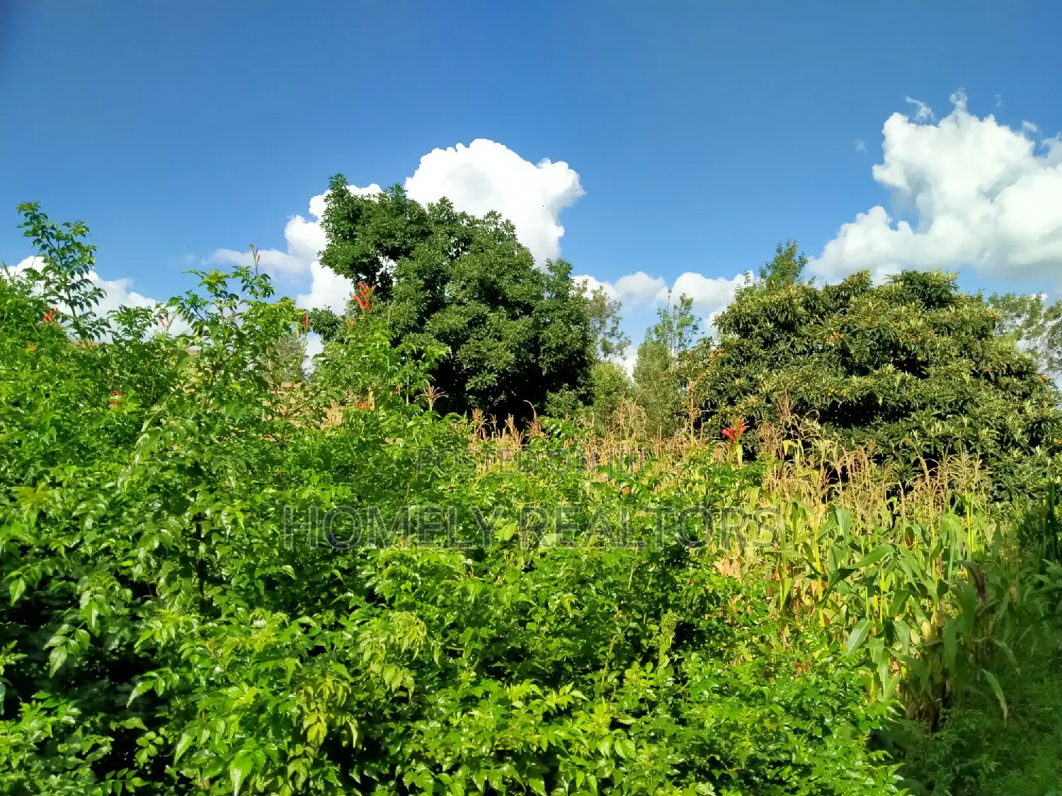 Commercial Land for Sale: Full Eighth Acre in Ongata Rongai, Nkoroi in Nkoroi