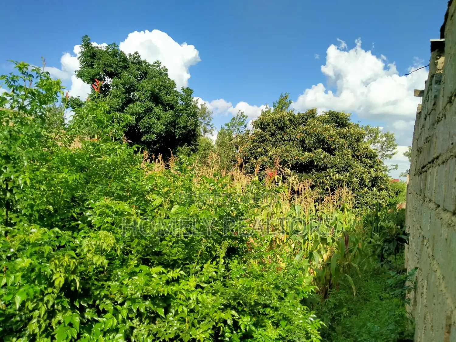 Commercial Land for Sale: Full Eighth Acre in Ongata Rongai, Nkoroi in Nkoroi