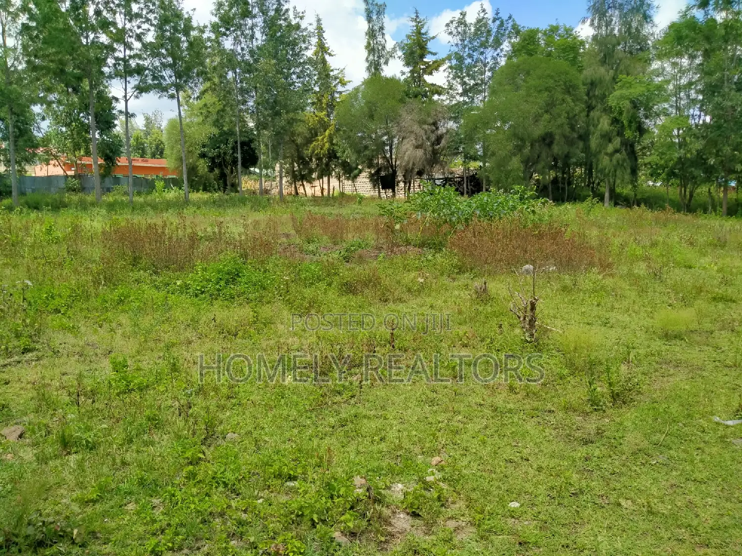Premier One-Acre Land in Ngong, Merisho Rd with Tarmac Access in Merisho