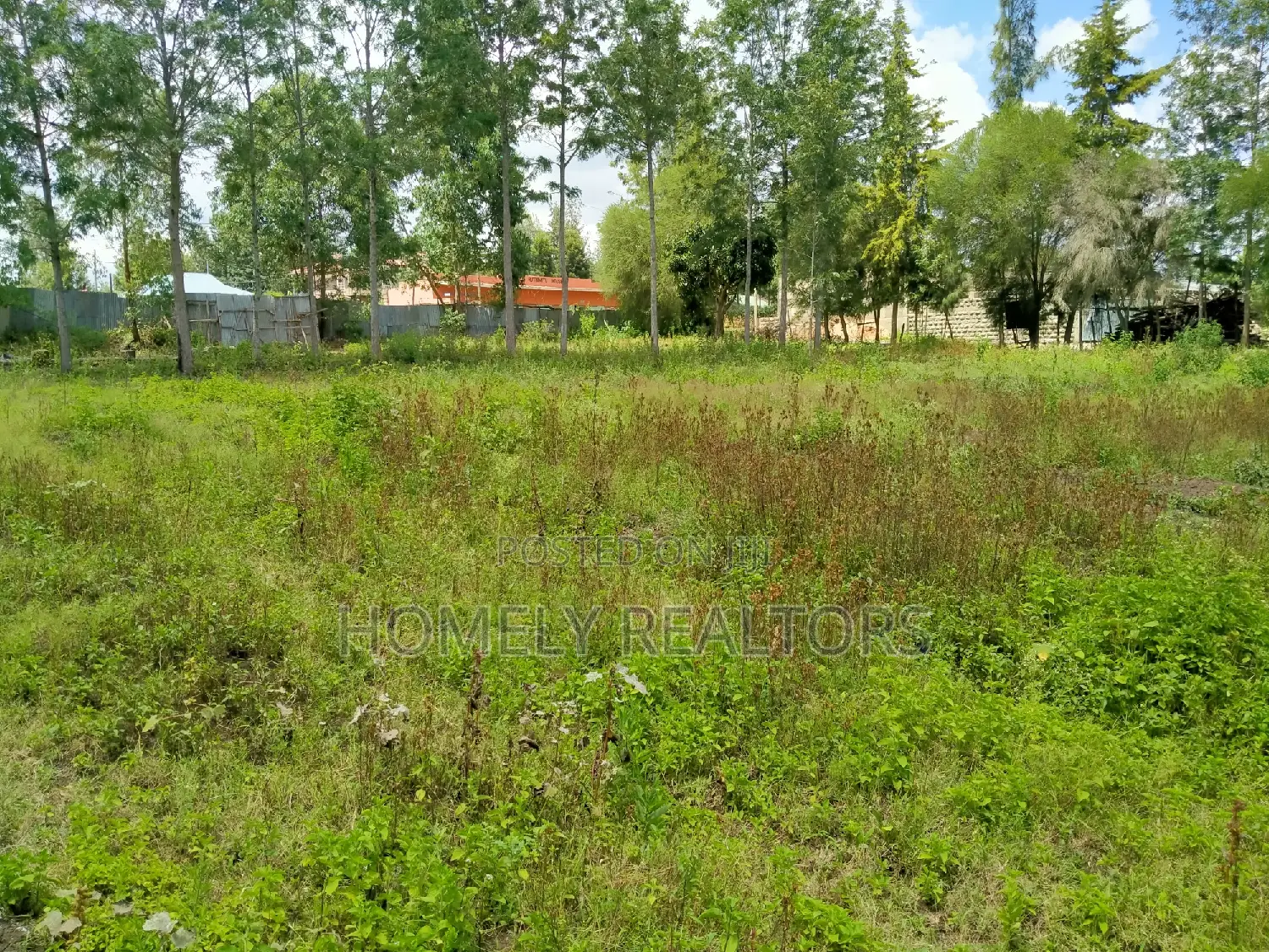 Premier One-Acre Land in Ngong, Merisho Rd with Tarmac Access in Merisho