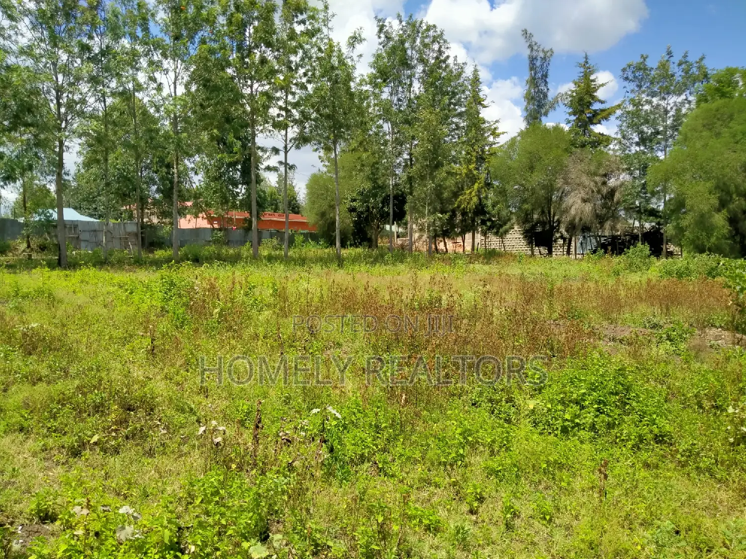 Premier One-Acre Land in Ngong, Merisho Rd with Tarmac Access in Merisho