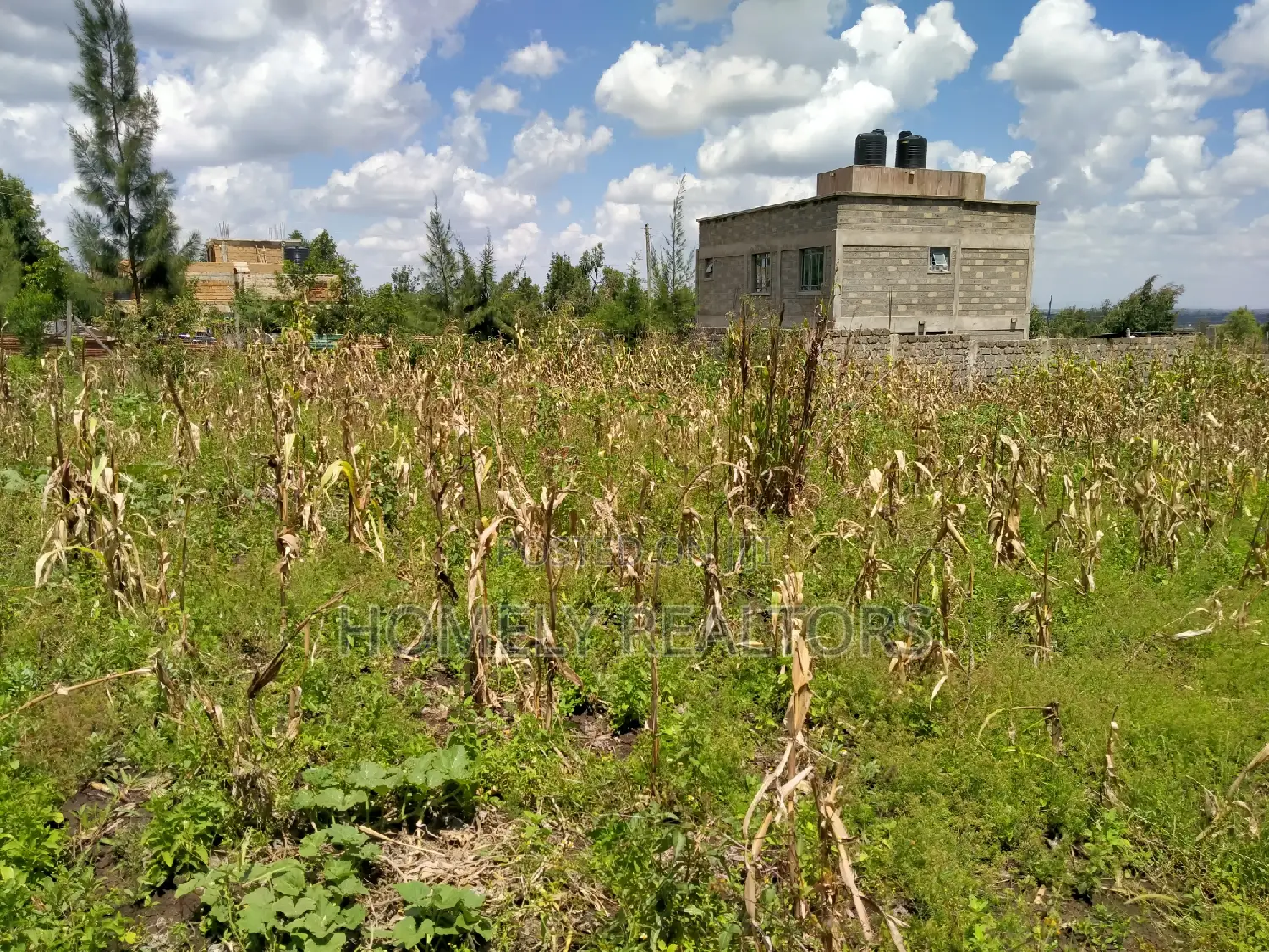 Eighth Acre Residential Land: Ngong, Matasia, Merisho Rd - For Sale in Merisho