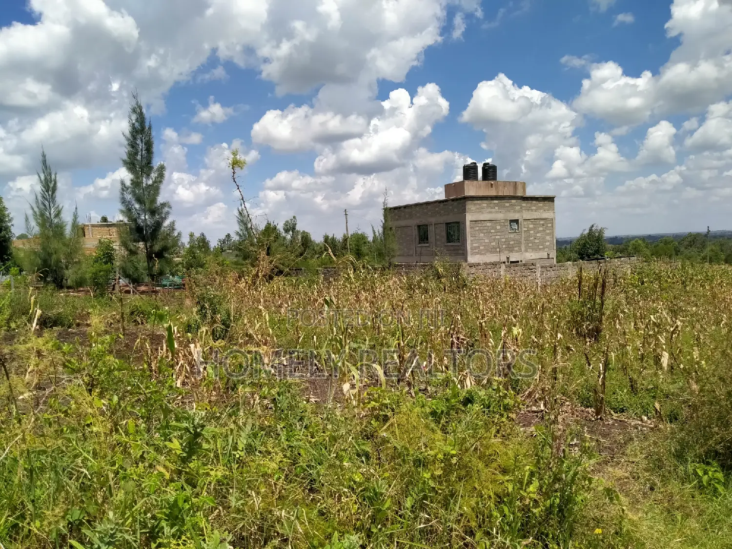 Eighth Acre Residential Land: Ngong, Matasia, Merisho Rd - For Sale in Merisho