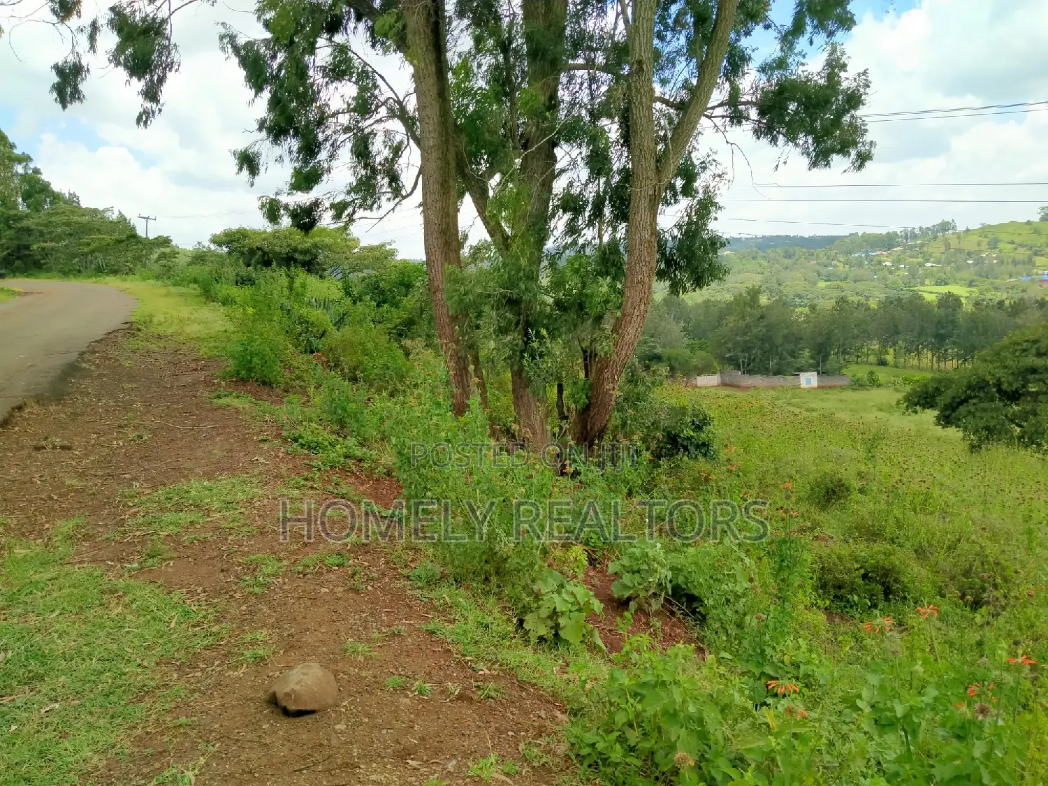 Scenic 8-Acre Land in Kiserian with Tarmac Access: Perfect for Development in Kiserian