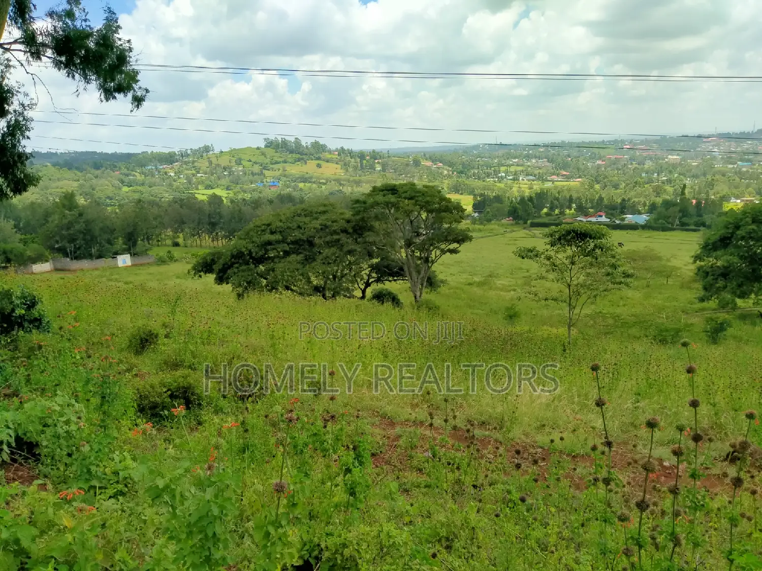 Scenic 8-Acre Land in Kiserian with Tarmac Access: Perfect for Development in Kiserian
