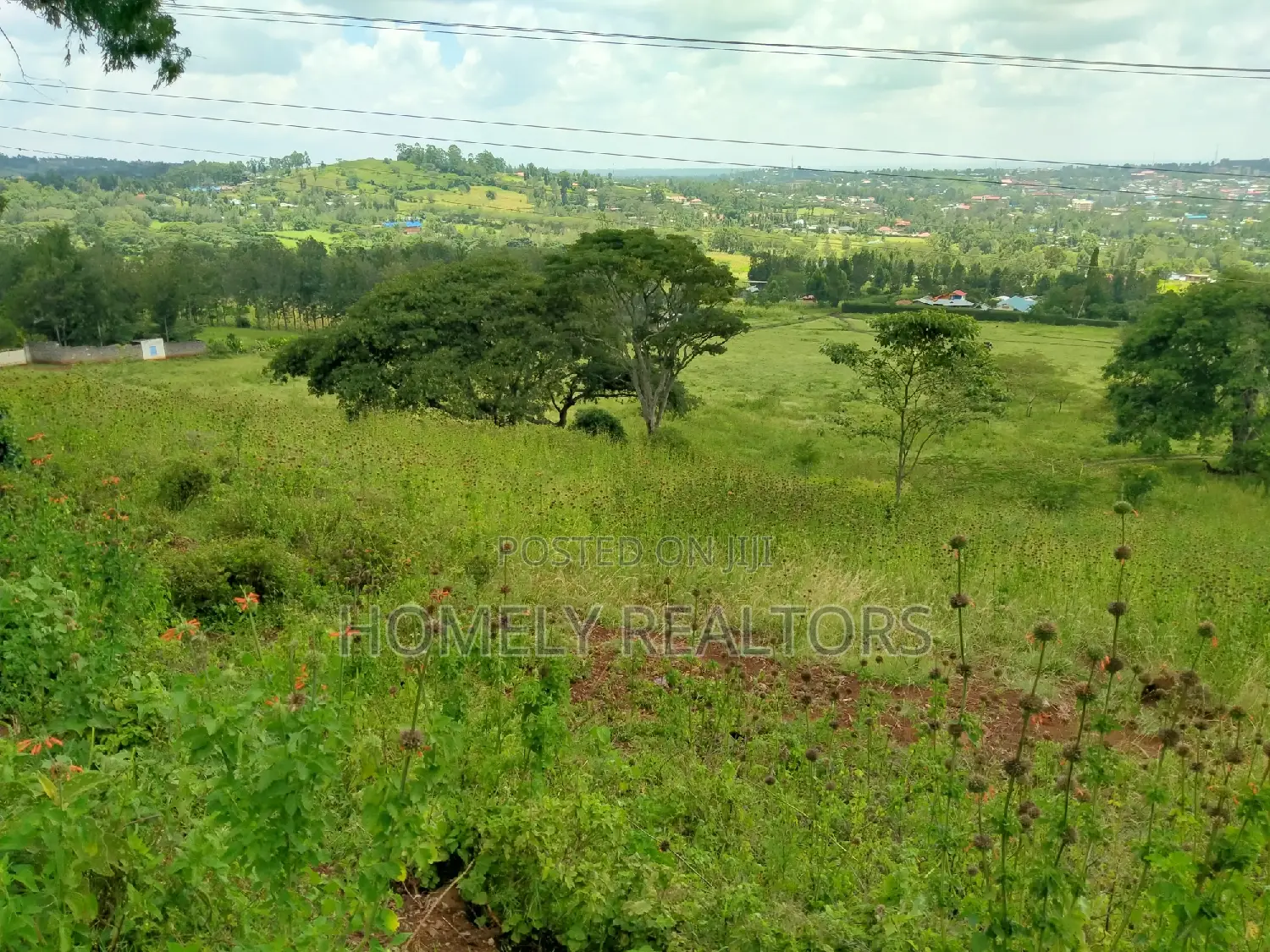 Scenic 8-Acre Land in Kiserian with Tarmac Access: Perfect for Development in Kiserian