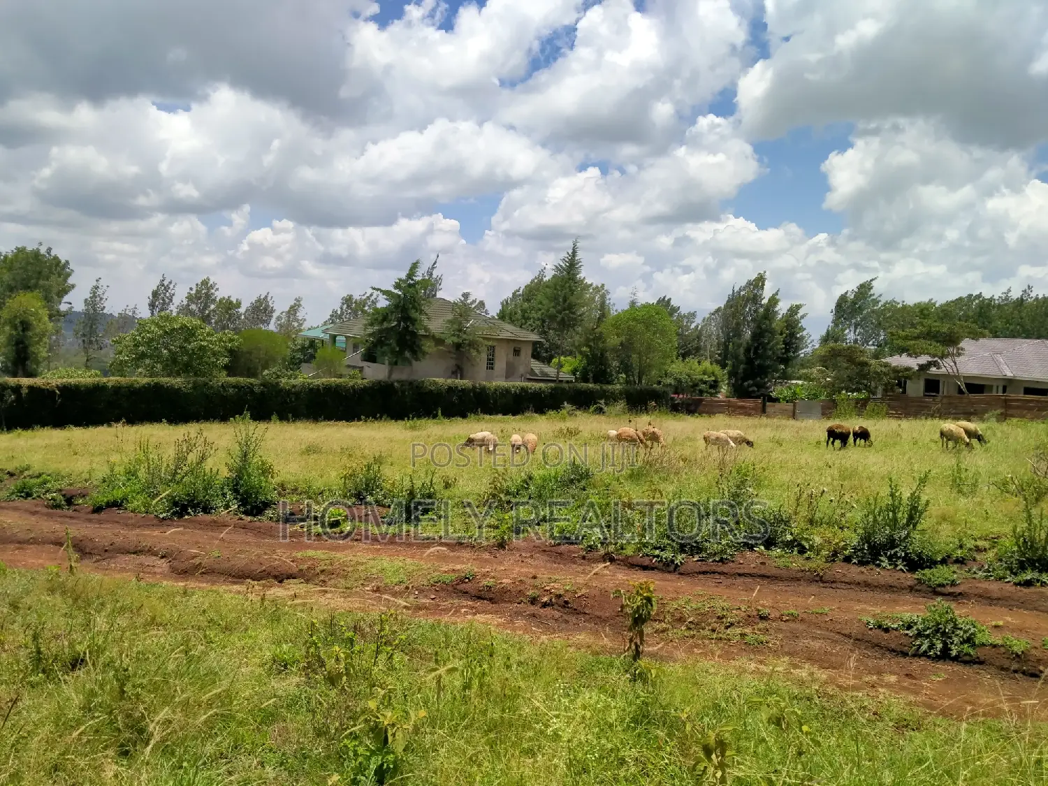 Prime Half Acre Plot Along Kahara Road Tarmac in Kiserian in Kiserian