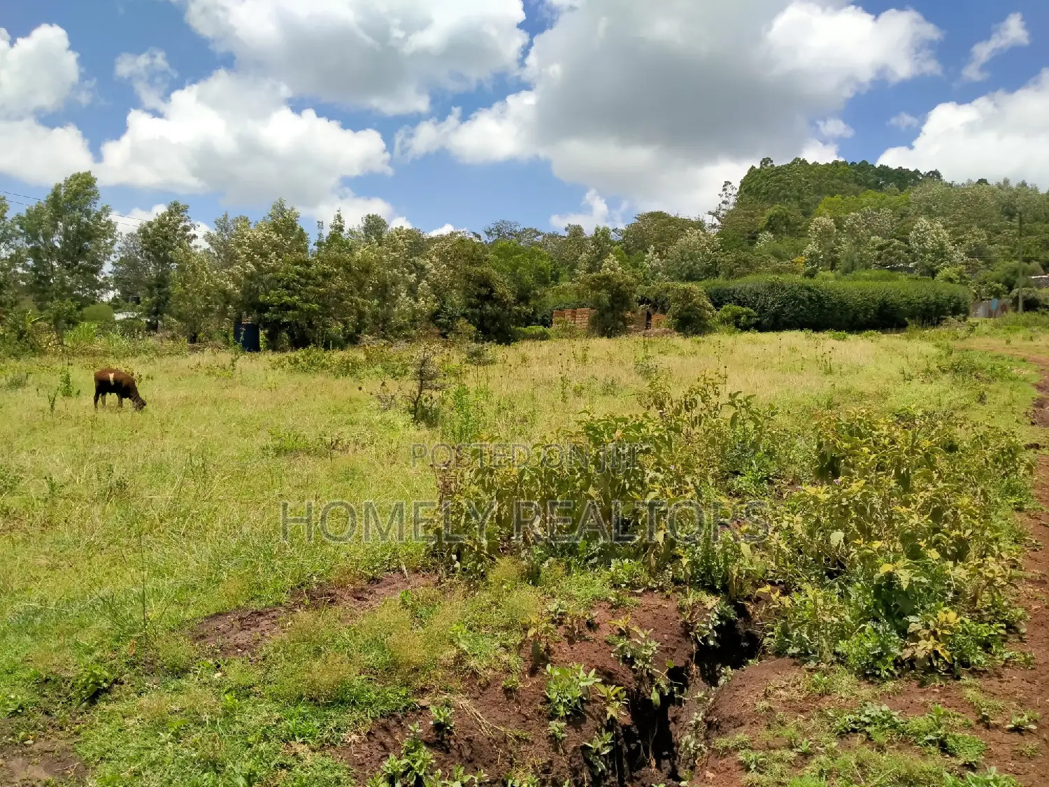 Prime Half Acre Plot Along Kahara Road Tarmac in Kiserian in Kiserian