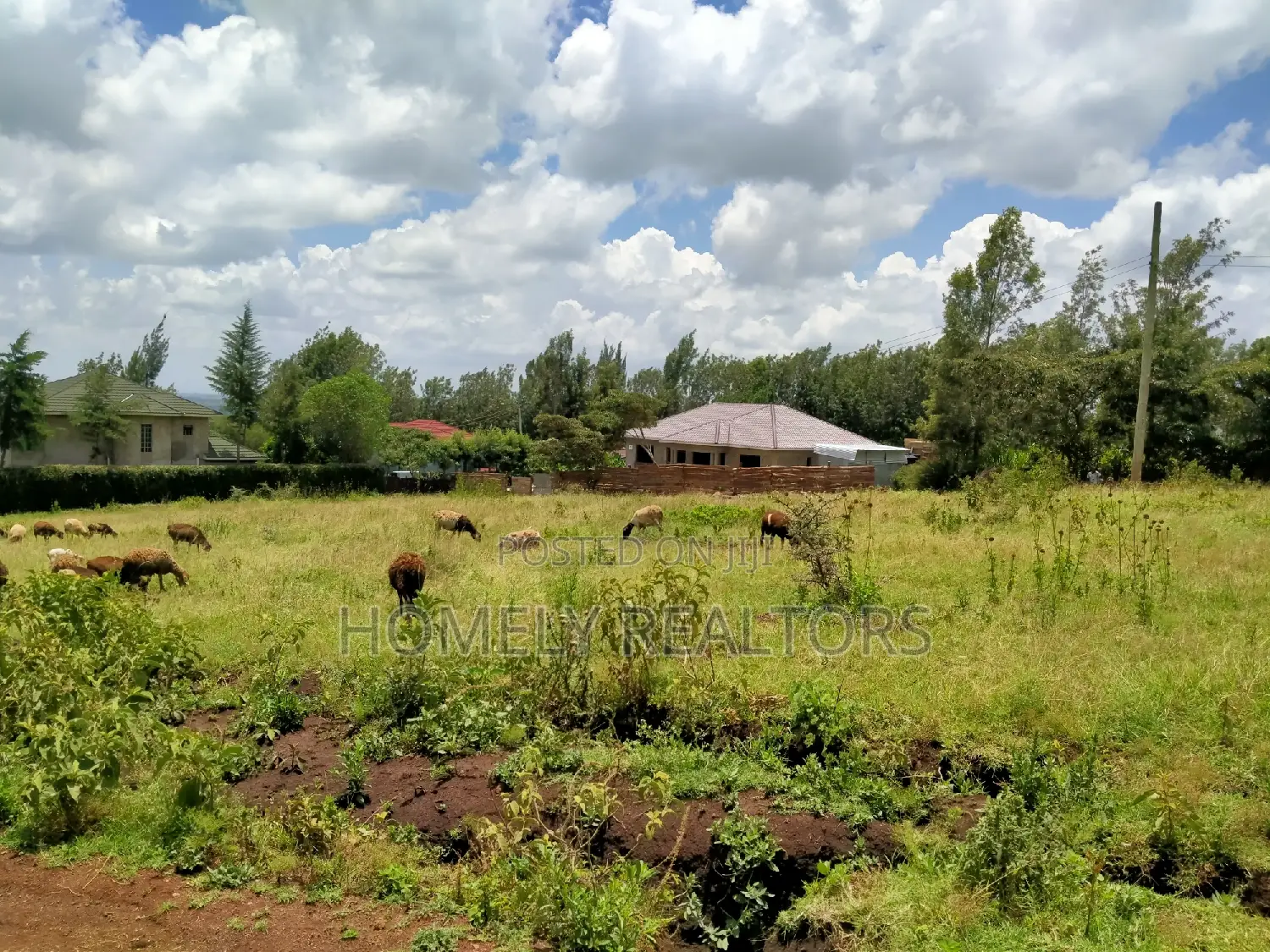 Prime Half Acre Plot Along Kahara Road Tarmac in Kiserian in Kiserian