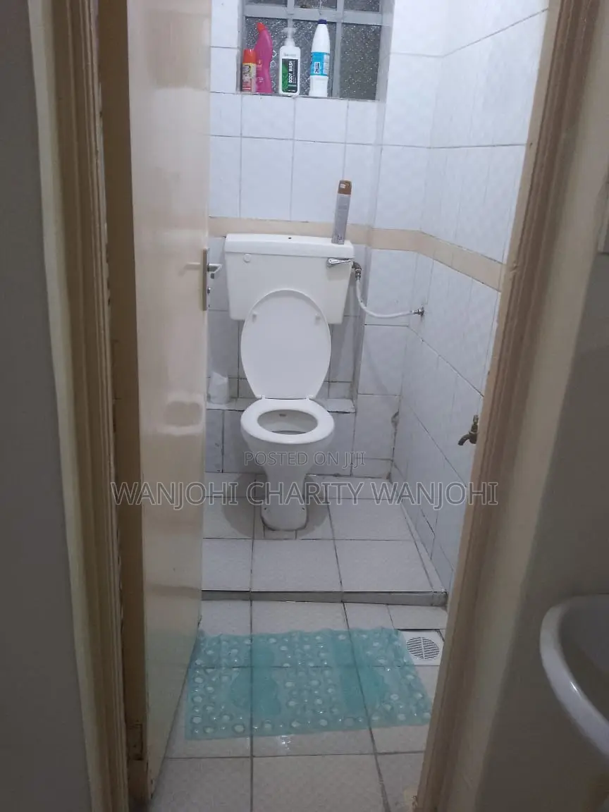 Fully Furnished Big Studio in South B
