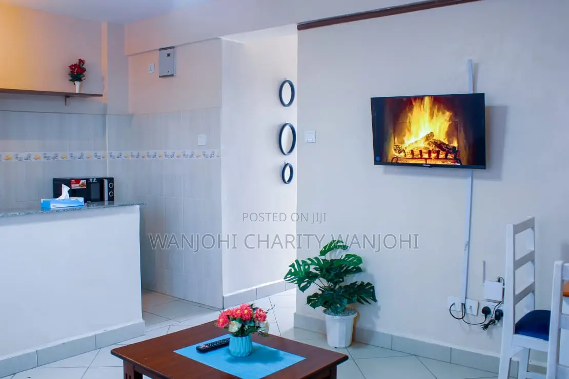 Fully Furnished Big Studio in South B