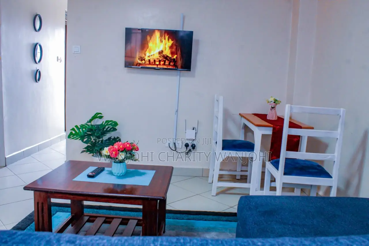 Fully Furnished Big Studio in South B