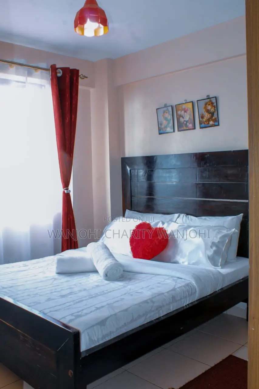 Fully Furnished Big Studio in South B