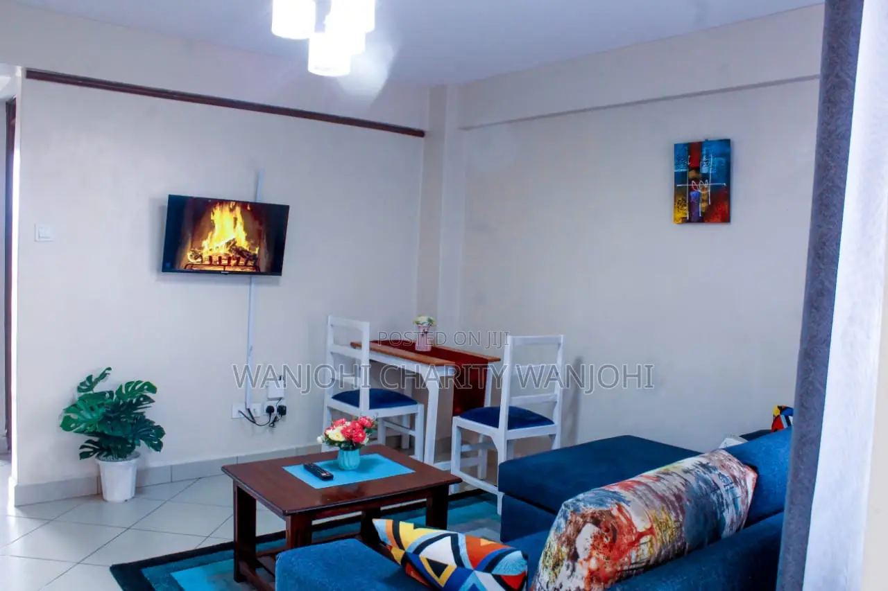 Fully Furnished Big Studio in South B