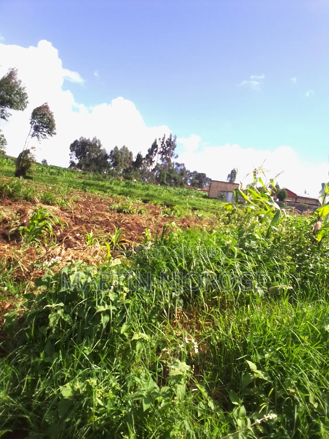 1⁄4 (100 by 100) Gitithia, Uplands in Lari/Kirenga