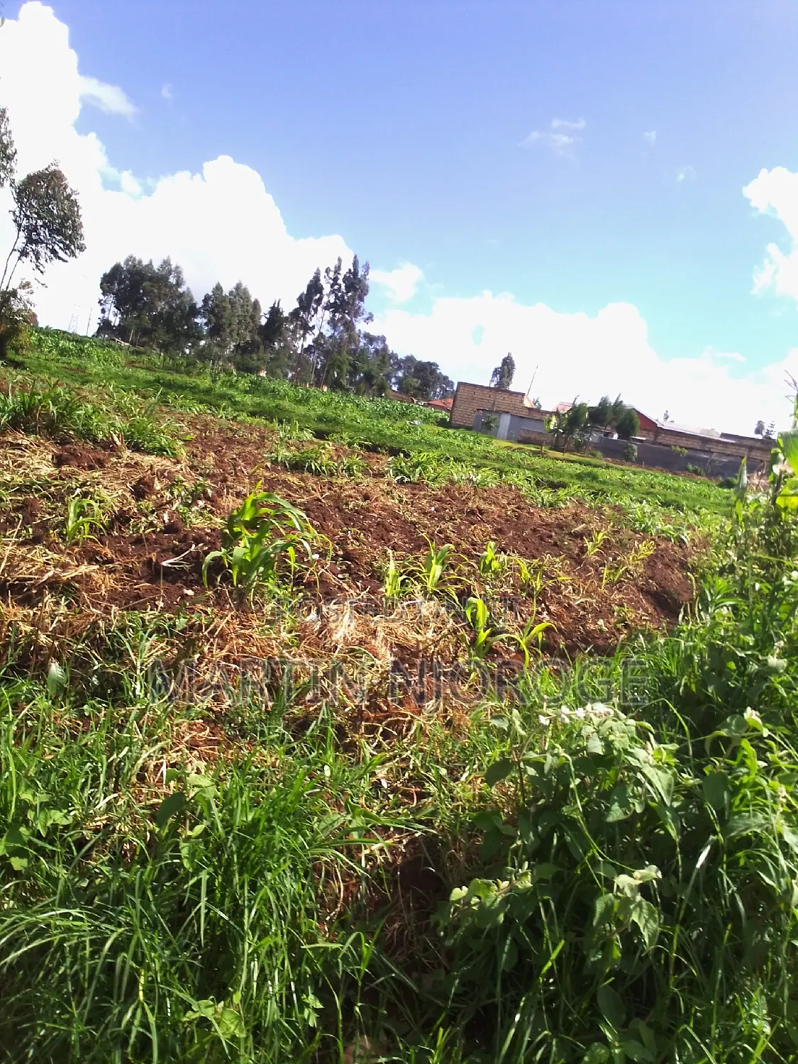 1⁄4 (100 by 100) Gitithia, Uplands in Lari/Kirenga