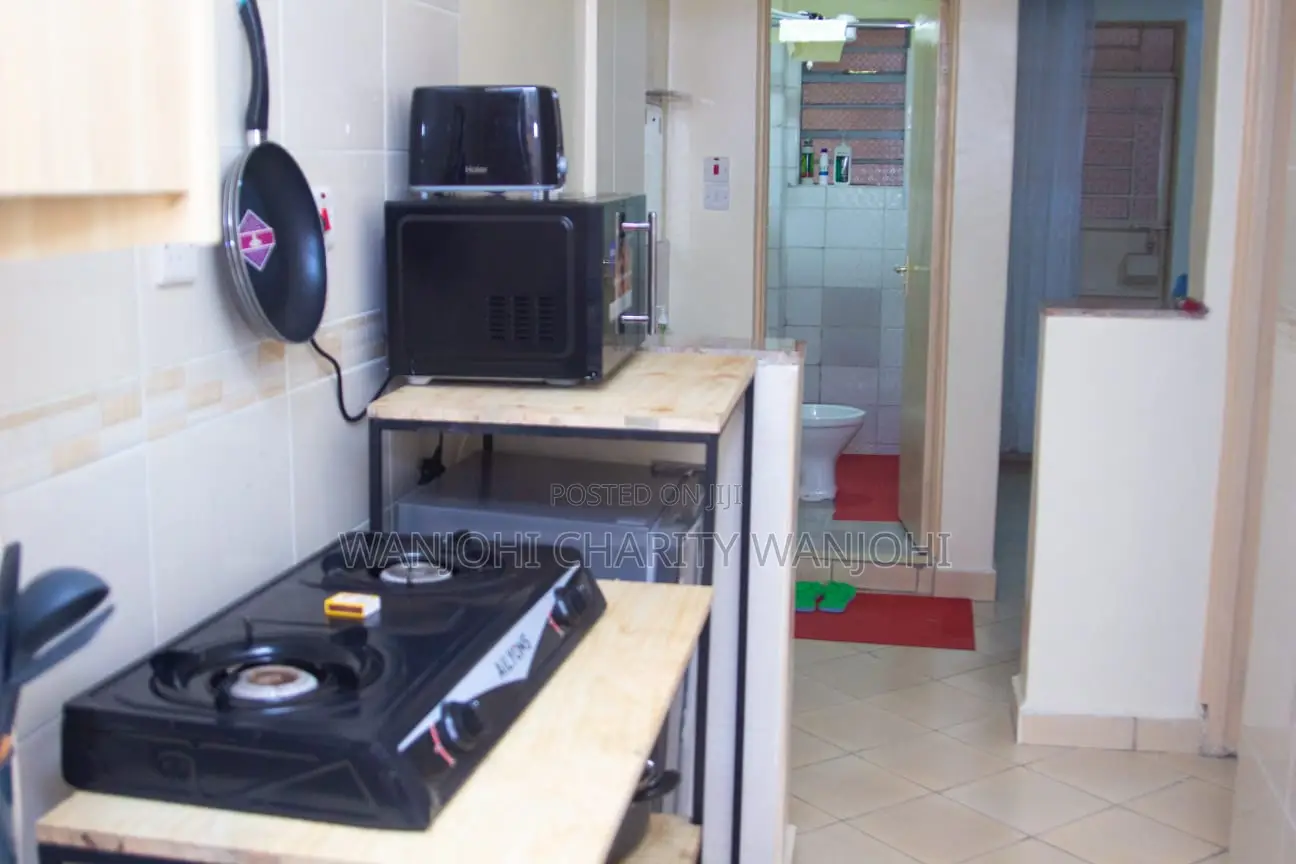 Furnished Apartments One Bedroom Airbnb in South B in South B