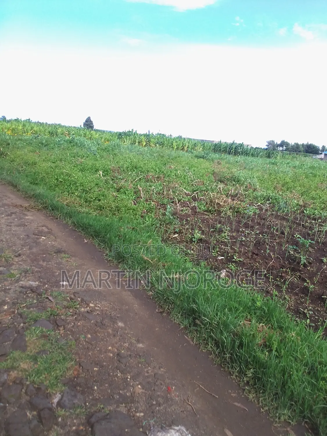 1 Acre Mwiciringiri, Naivasha in Naivasha